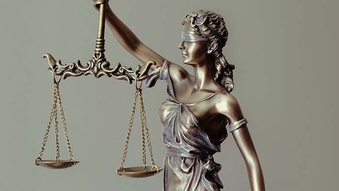 Lawyers and Law Firms
