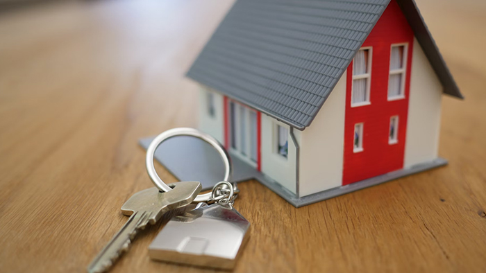 Realtors and Real Estate Agents